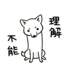 柴犬スタンプ15～白柴～やさぐれ編（個別スタンプ：3）