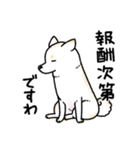 柴犬スタンプ15～白柴～やさぐれ編（個別スタンプ：4）