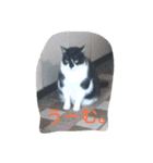 つぶやきネコ。（個別スタンプ：4）