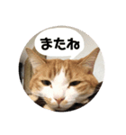 りんたろう＆ももたろう（個別スタンプ：4）