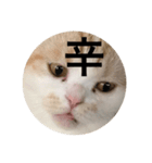 とろ猫3（個別スタンプ：3）