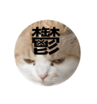 とろ猫3（個別スタンプ：5）