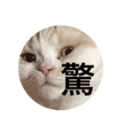 とろ猫3（個別スタンプ：6）