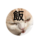 とろ猫3（個別スタンプ：7）