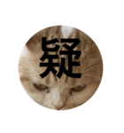 とろ猫3（個別スタンプ：9）
