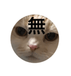 とろ猫3（個別スタンプ：13）
