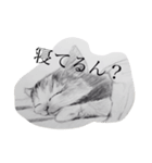 ひろのスタンピー（個別スタンプ：4）