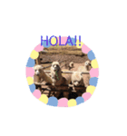 リャマとアルパカ（個別スタンプ：3）