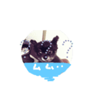 可愛い子犬です（個別スタンプ：2）