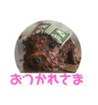 ウチの子スタンプ～MOPUN＆LOVEと時々…大福（個別スタンプ：2）