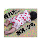Nikorlin（個別スタンプ：4）