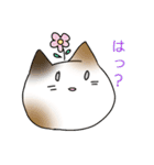 ねこすた！方言ver. 筑後弁（個別スタンプ：1）