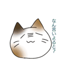 ねこすた！方言ver. 筑後弁（個別スタンプ：5）