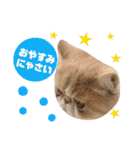 はなペチャ猫のガブリエル 1.（個別スタンプ：33）