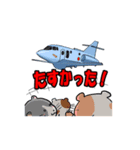 あにまる航空隊1（個別スタンプ：1）