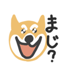 しゃべるしば犬くん2（個別スタンプ：13）