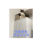LIZ たん たん（個別スタンプ：1）
