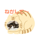 LIZ たん たん（個別スタンプ：2）