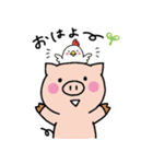 子ブタのみーこ（個別スタンプ：1）
