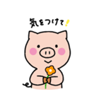 子ブタのみーこ（個別スタンプ：13）