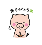 子ブタのみーこ（個別スタンプ：39）