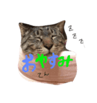 あもひふてん1（個別スタンプ：2）