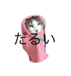 あもひふてん1（個別スタンプ：3）
