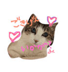 あもひふてん1（個別スタンプ：7）