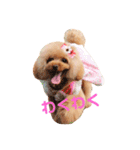 プーちゃん姉妹いいお返事しますよぉ（個別スタンプ：3）