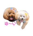 プーちゃん姉妹いいお返事しますよぉ（個別スタンプ：4）