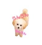 プーちゃん姉妹いいお返事しますよぉ（個別スタンプ：6）