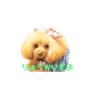 プーちゃん姉妹いいお返事しますよぉ（個別スタンプ：12）