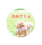 プーちゃん姉妹いいお返事しますよぉ（個別スタンプ：14）