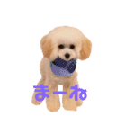 プーちゃん姉妹いいお返事しますよぉ（個別スタンプ：20）