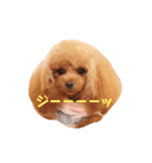 プーちゃん姉妹いいお返事しますよぉ（個別スタンプ：23）