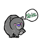 毎日ウォンバット（個別スタンプ：3）