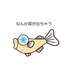 メダカ博士スタンプ（個別スタンプ：16）