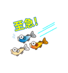 メダカ博士スタンプ（個別スタンプ：17）