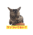 気まぐれダーちゃん（個別スタンプ：7）