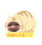 龍星メッセージ（個別スタンプ：6）