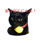 ボーボボとてんのすけ（個別スタンプ：5）