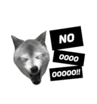 柴犬と英語（個別スタンプ：8）