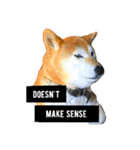 柴犬と英語（個別スタンプ：19）