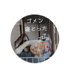 ヒナタの日常②（個別スタンプ：12）