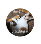ヒナタの日常②（個別スタンプ：16）