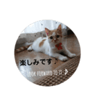 ヒナタの日常②（個別スタンプ：17）