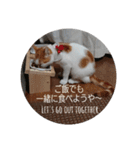 ヒナタの日常②（個別スタンプ：23）