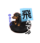 佐藤家のイヌネコたち。（個別スタンプ：15）