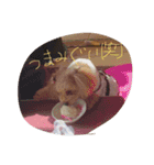 zoo'ss（個別スタンプ：2）