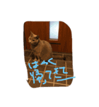 zoo'ss（個別スタンプ：8）